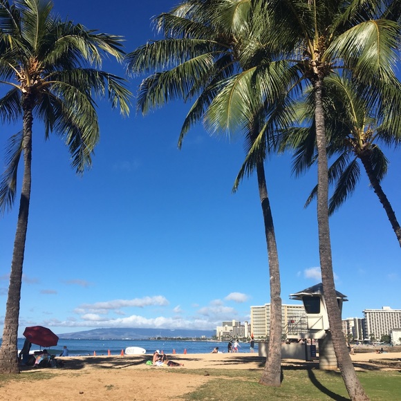 Meet your Posher, Kaitlyn - Picture 1 of 1